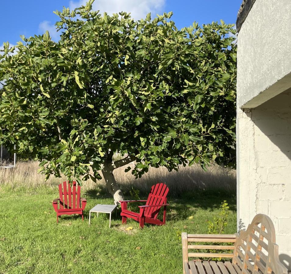 La Part Des Anges 29 - Maison D'Hotes Et Table Epicurienne Penmarcʼh Kültér fotó